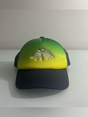Target Little Boys Stegosaurus Skeleton Snapback Cap